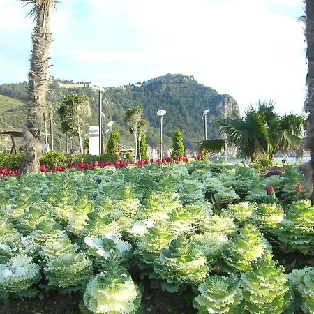 Cleopatra * Alanya